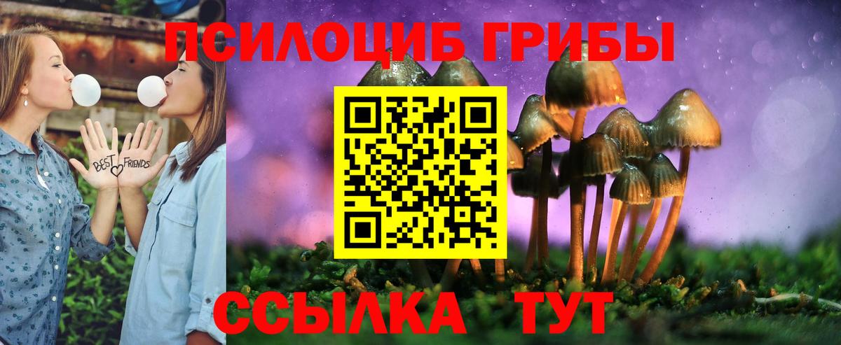 Краснокамск  цена   Вход с VPN  Галлюциногенные грибы Psilocybine cubensis 